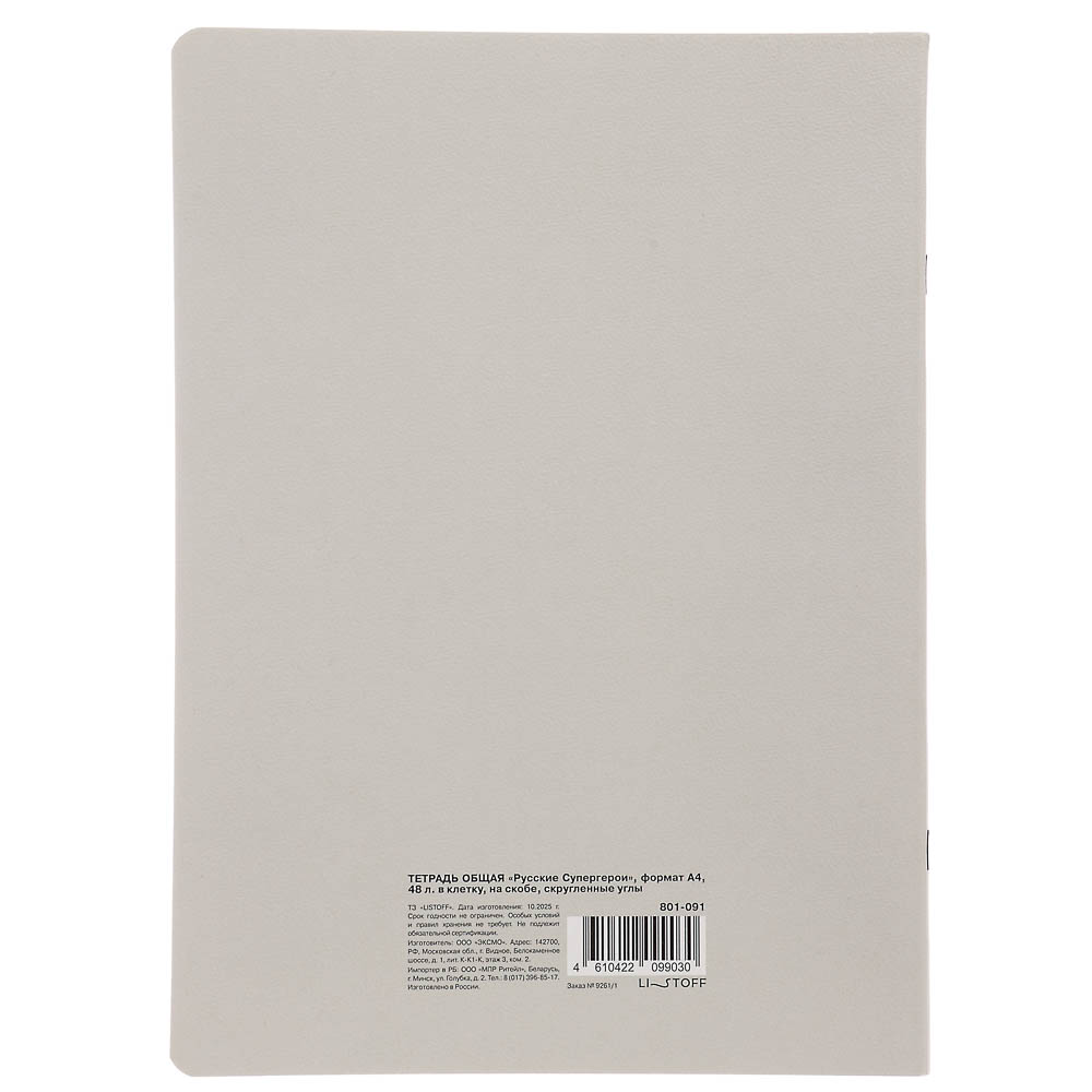 Тетрадь общая Русские Супергерои, формат А4, 48л. в клетку, на скобе, скругленные углы, в ассортим. - #14