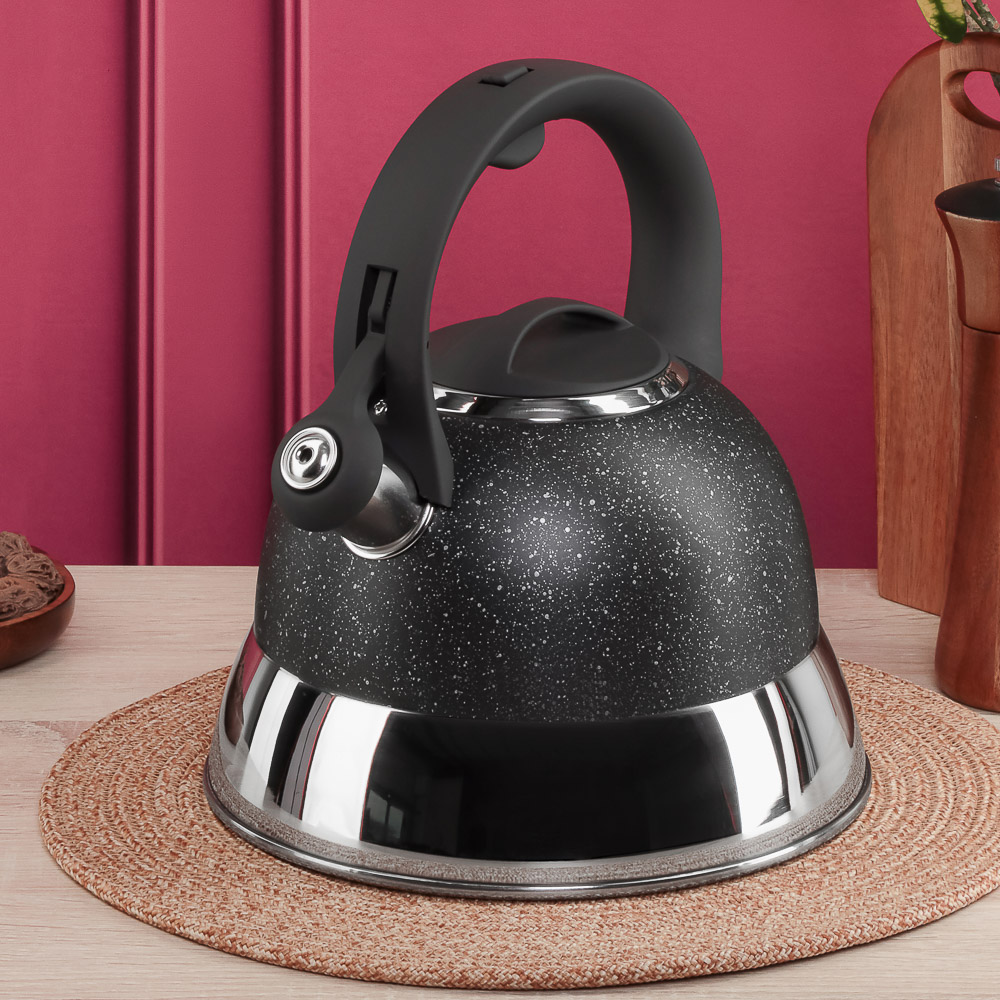 SATOSHI Чайник стальной 2,7л "Гардан", индукция - #8