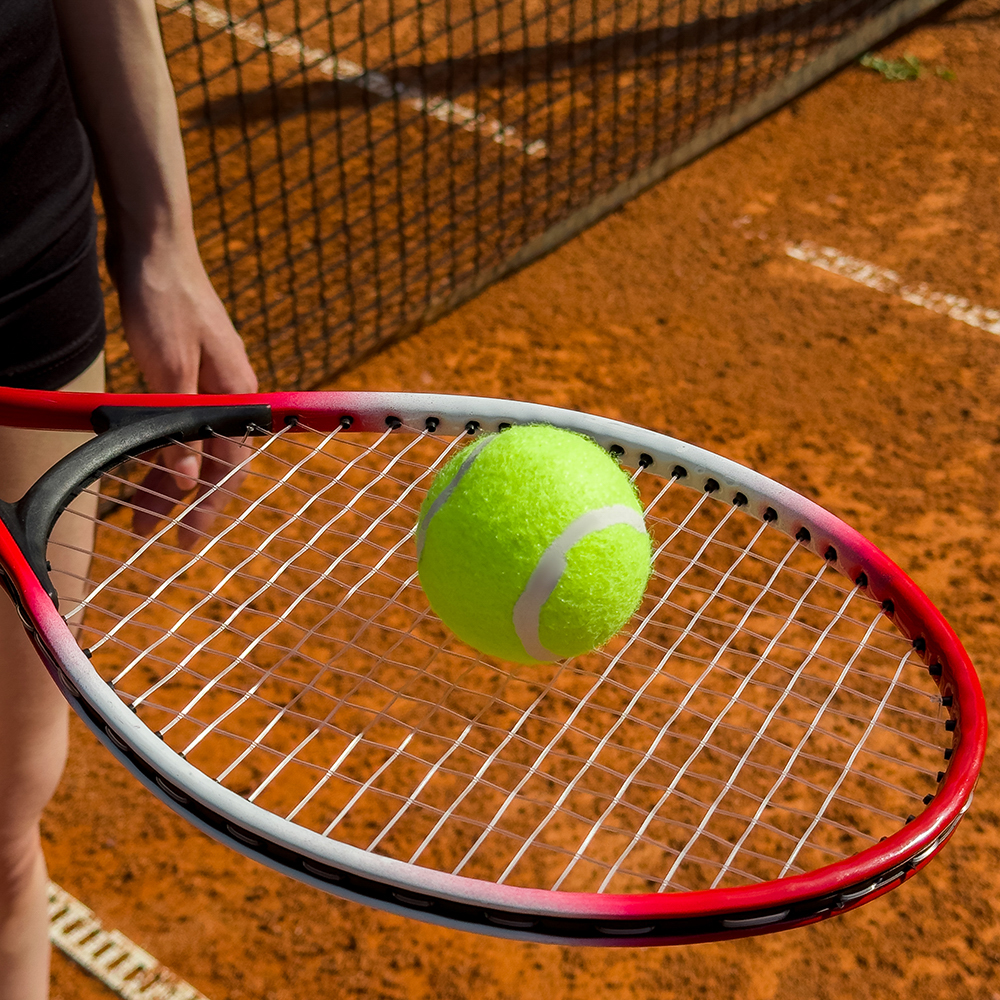 Набор для большого тенниса: 2 ракетки, мяч, в чехле, металл, пластик, SILAPRO - #13