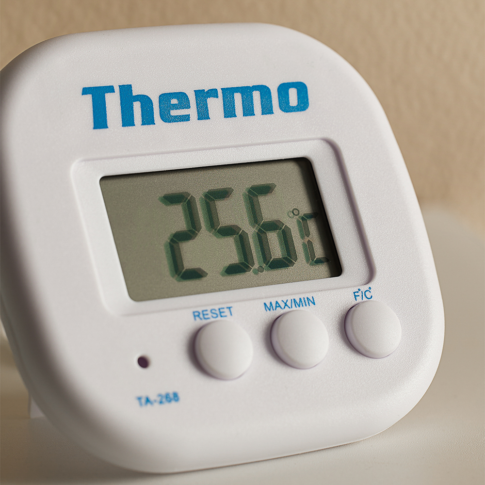 Термометр электронный с уличным датчиком Inbloom - #7