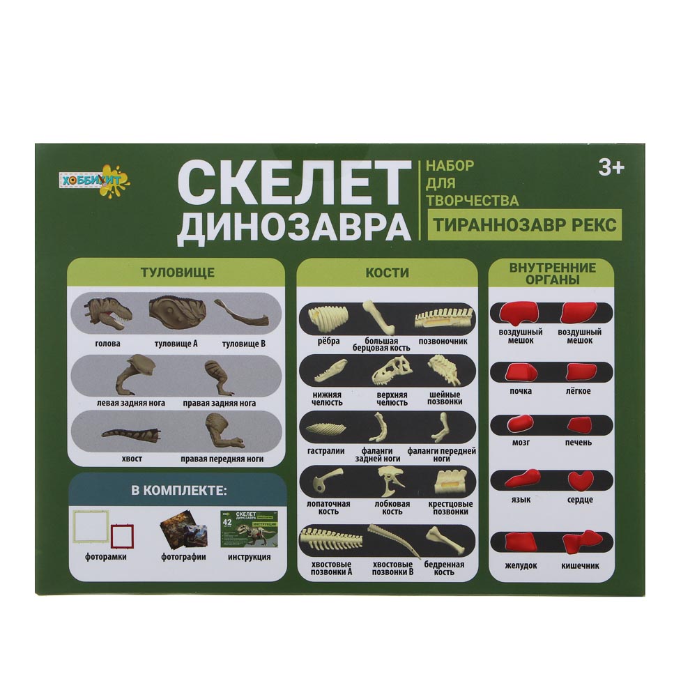 ХОББИХИТ Набор для творчества "Скелет Динозавра" 16х5х16см, 3 дизайна - #3
