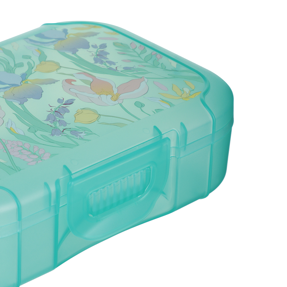 Ботаника Ланч-бокс 0,85л (18х12,5х5,5см), пластик, в ассортименте - #3