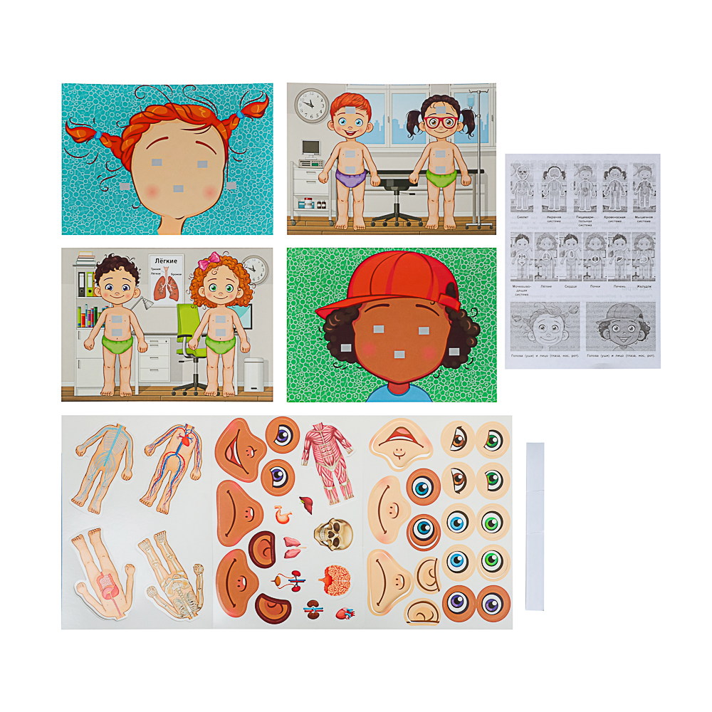 УМКА Развивающая игра "Липучки. Тело человека", в коробке, 28,5x19х3,5см - #2