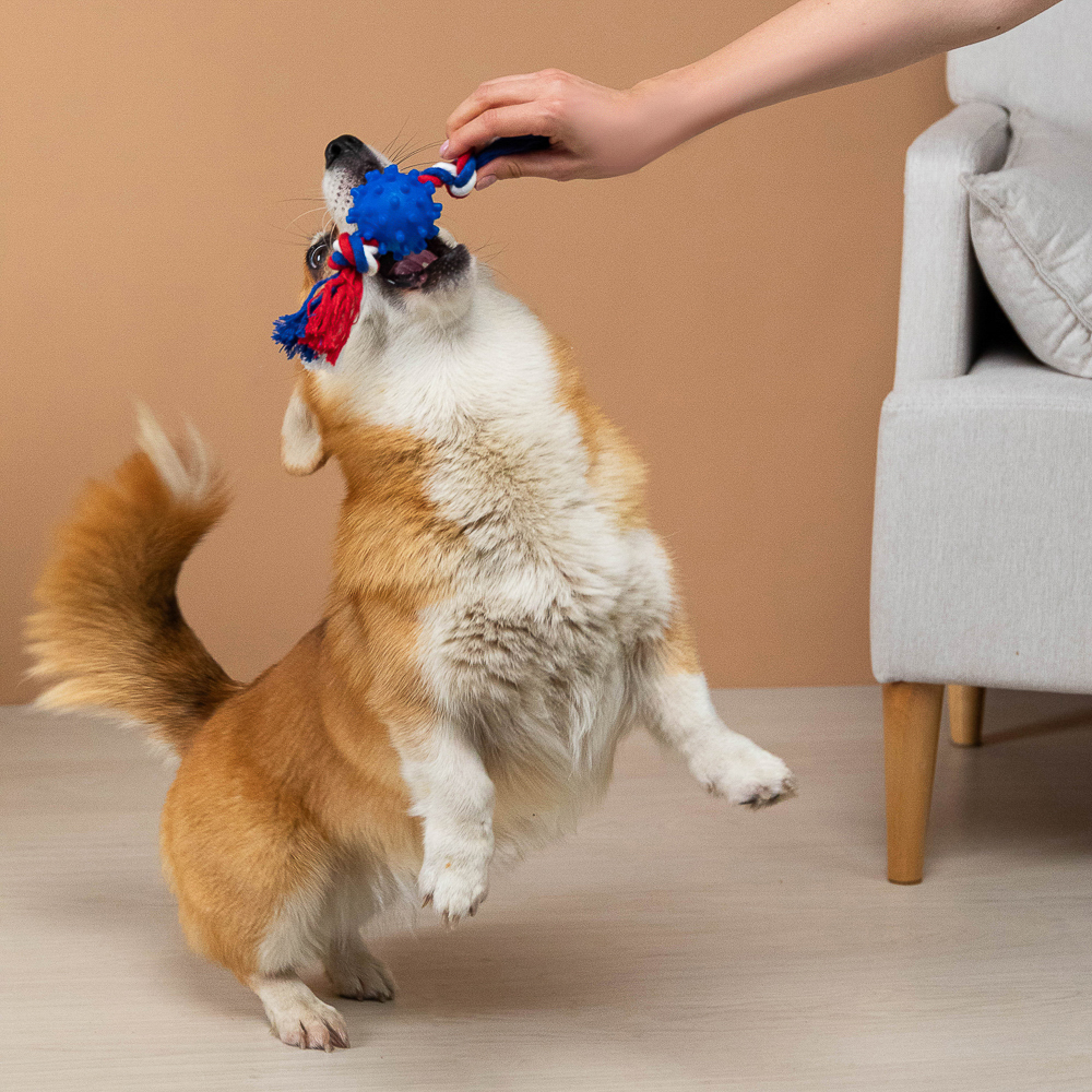 VETTA Игрушка для домашних животных, хлопок, ПВХ, 27 см - #14