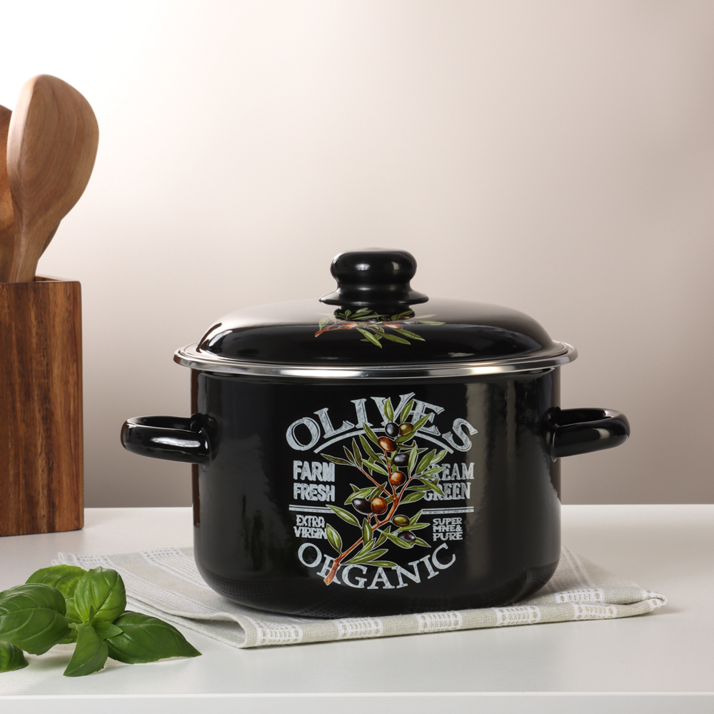 Ветка оливы Кастрюля эмалированная 4л - #5