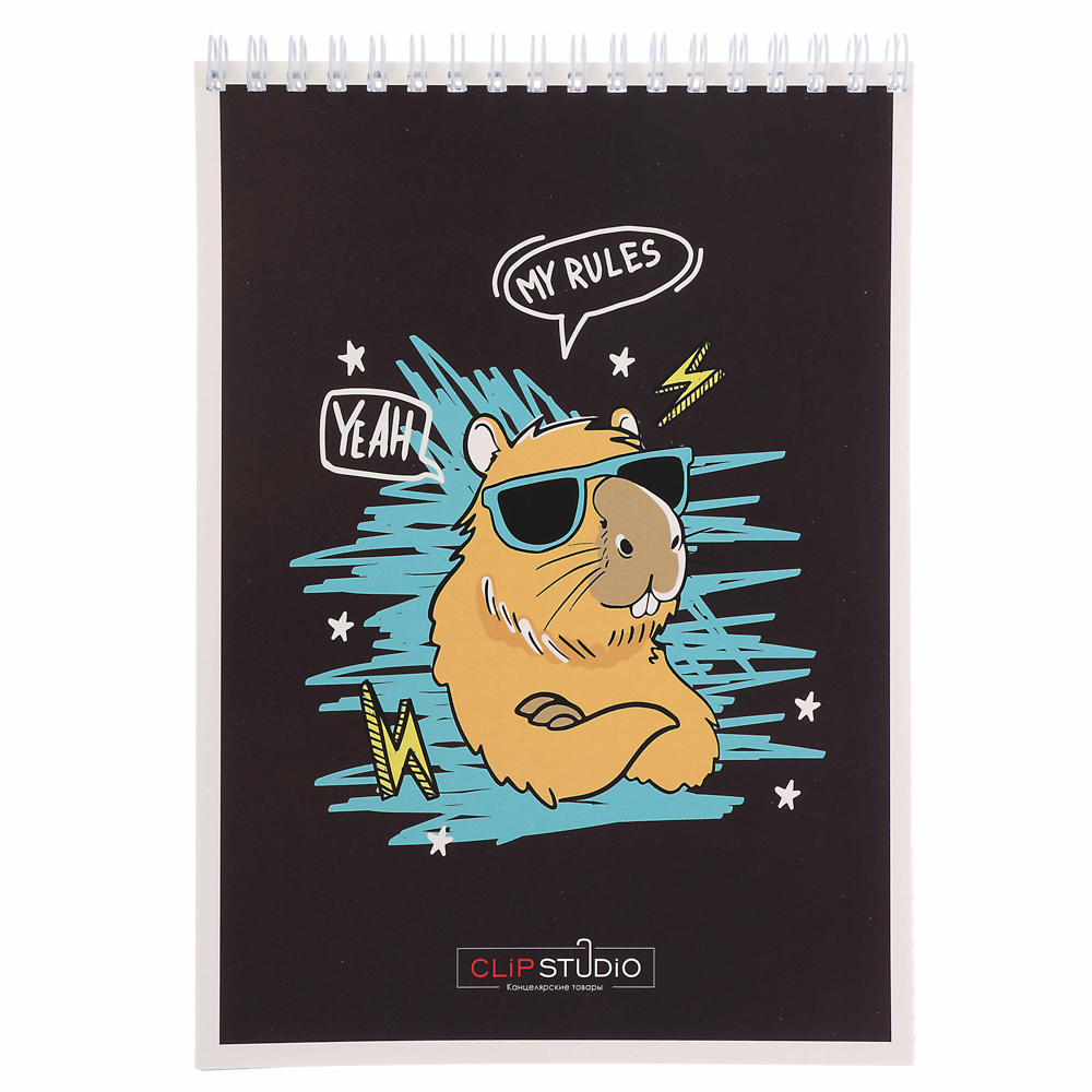 ClipStudio Блокнот А5, 40 листов, офсет, обложка картон, спираль, в клетку 8 диз. - #21