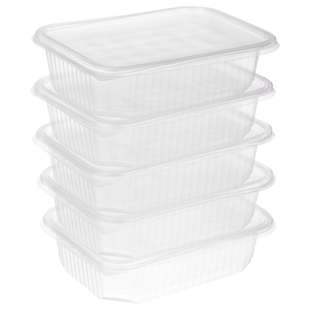 Набор контейнеров тм VETTA, 750мл, пластик, 5 штук - #2