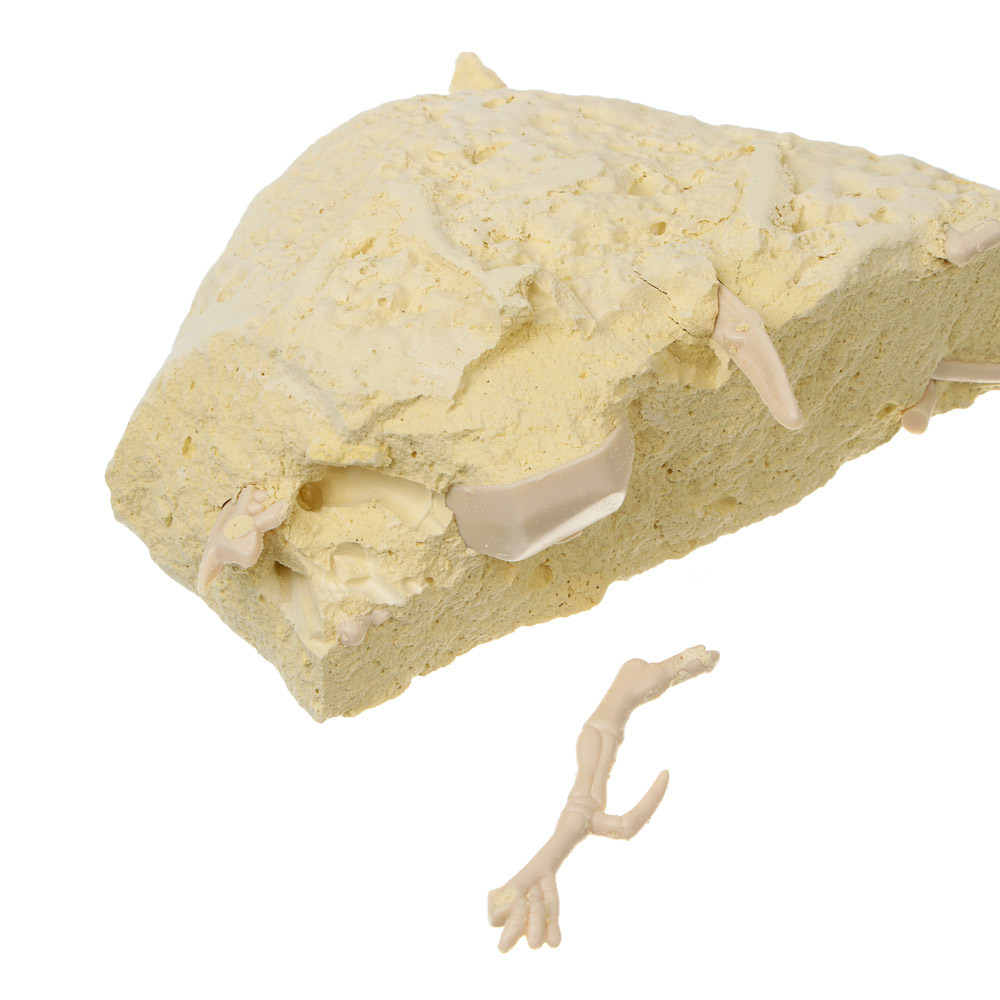 Набор для творчества 2в1 раскраска и раскопки "Динозавры", 39,5х26х7,5см, гипс, PP, 2 диз. - #8