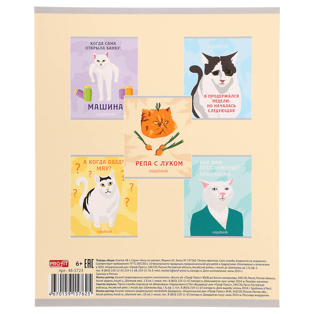 Тетрадь 48л. в клетку, офсет, обл. мел.картон, скрепка, ВД-лак, микс - #10