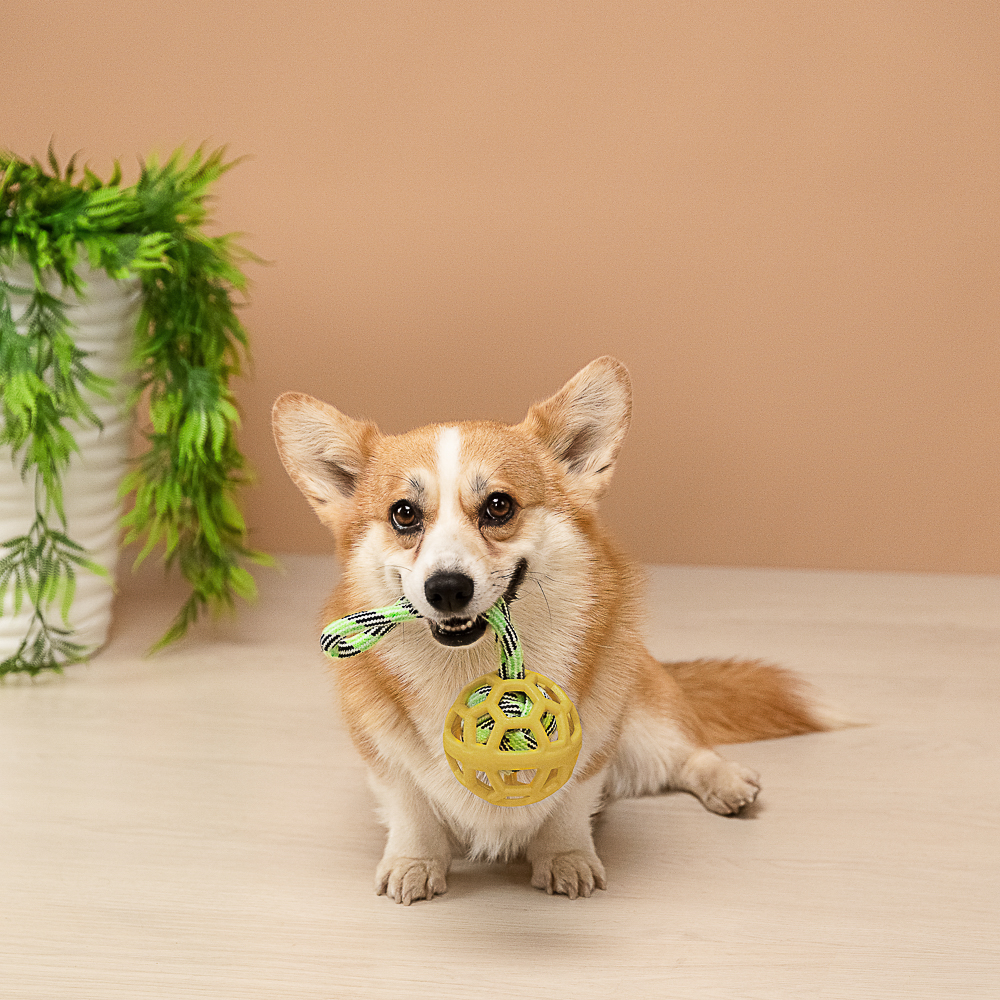 VETTA Игрушка для домашних животных, грейфер, хлопок, ТПР, 26х9х1 см - #11