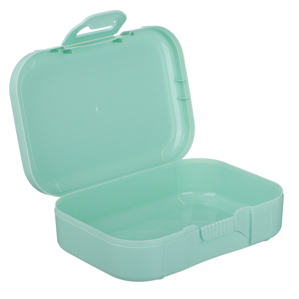 Черри Ланч-бокс 0,85л (18х12,5х5,5см), пластик, 2 цвета - #7