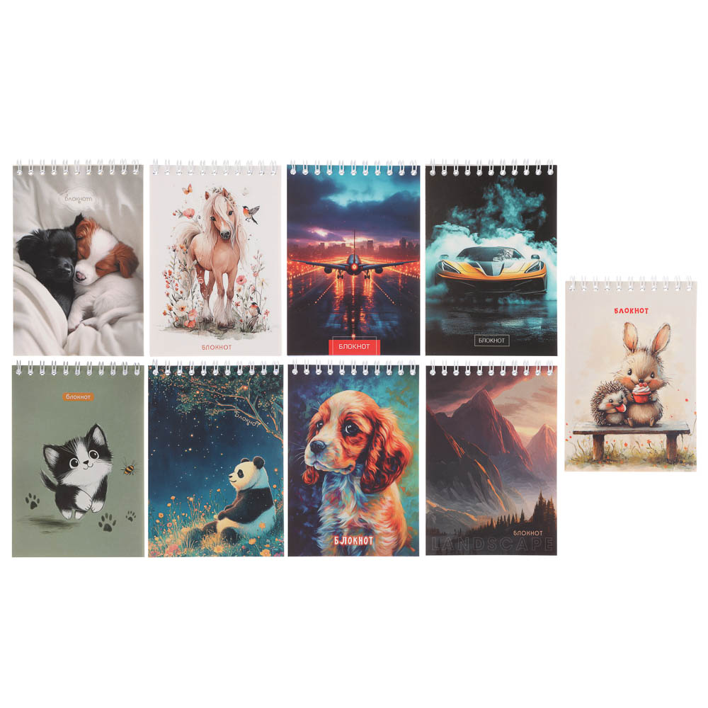 Блокнот А6, 40л., офсет, обложка картон, спираль, в клетку, 9 диз. - #1