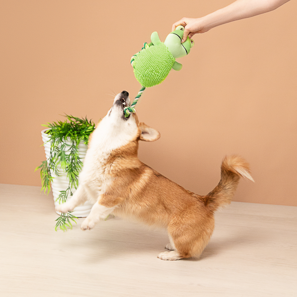 VETTA Игрушка для домашних животных, ПЭ, 21,5х11 см, лягушка - #13