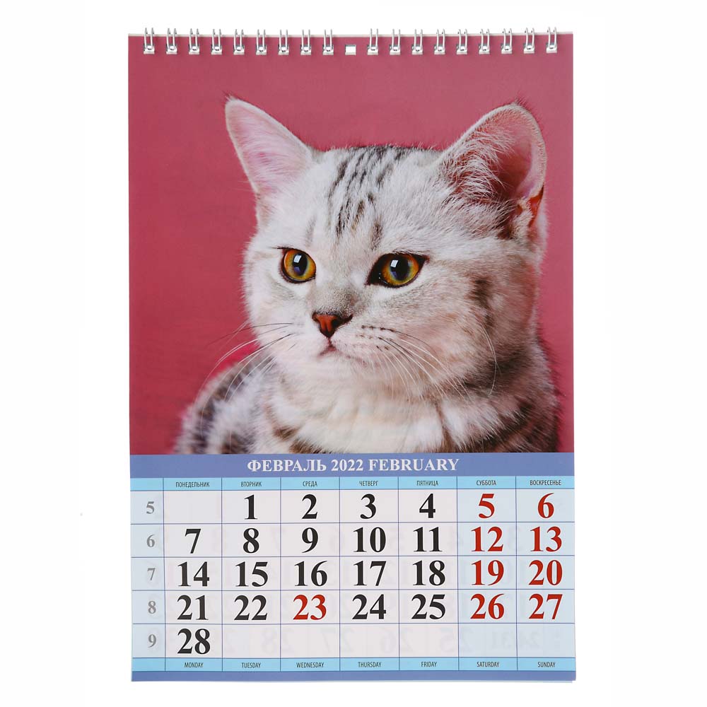 Календарь настенный перекидной, "Котята 2021", 17х25 см - #2