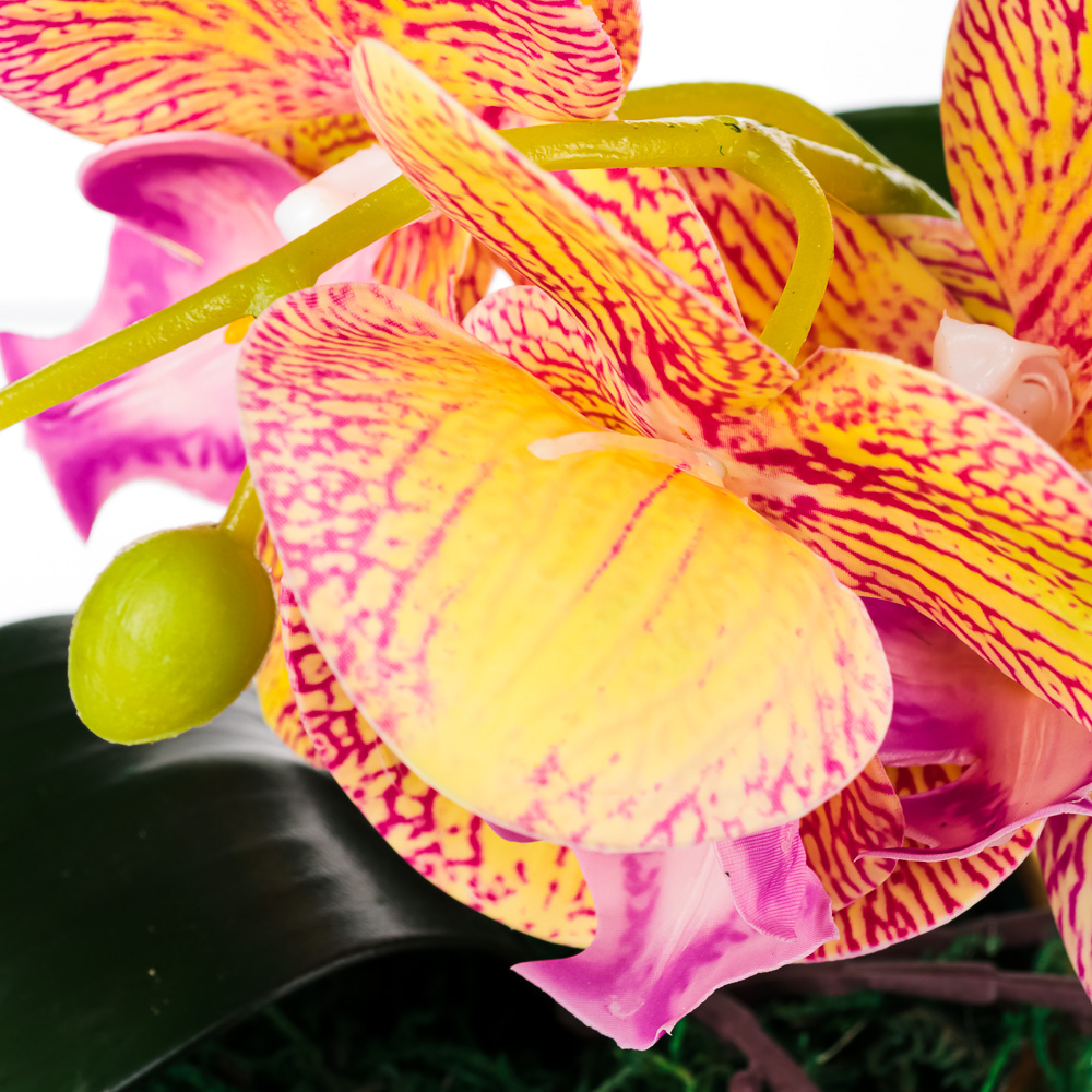Цветочная композиция Ladecor "Орхидея", в керамическом кашпо - #4
