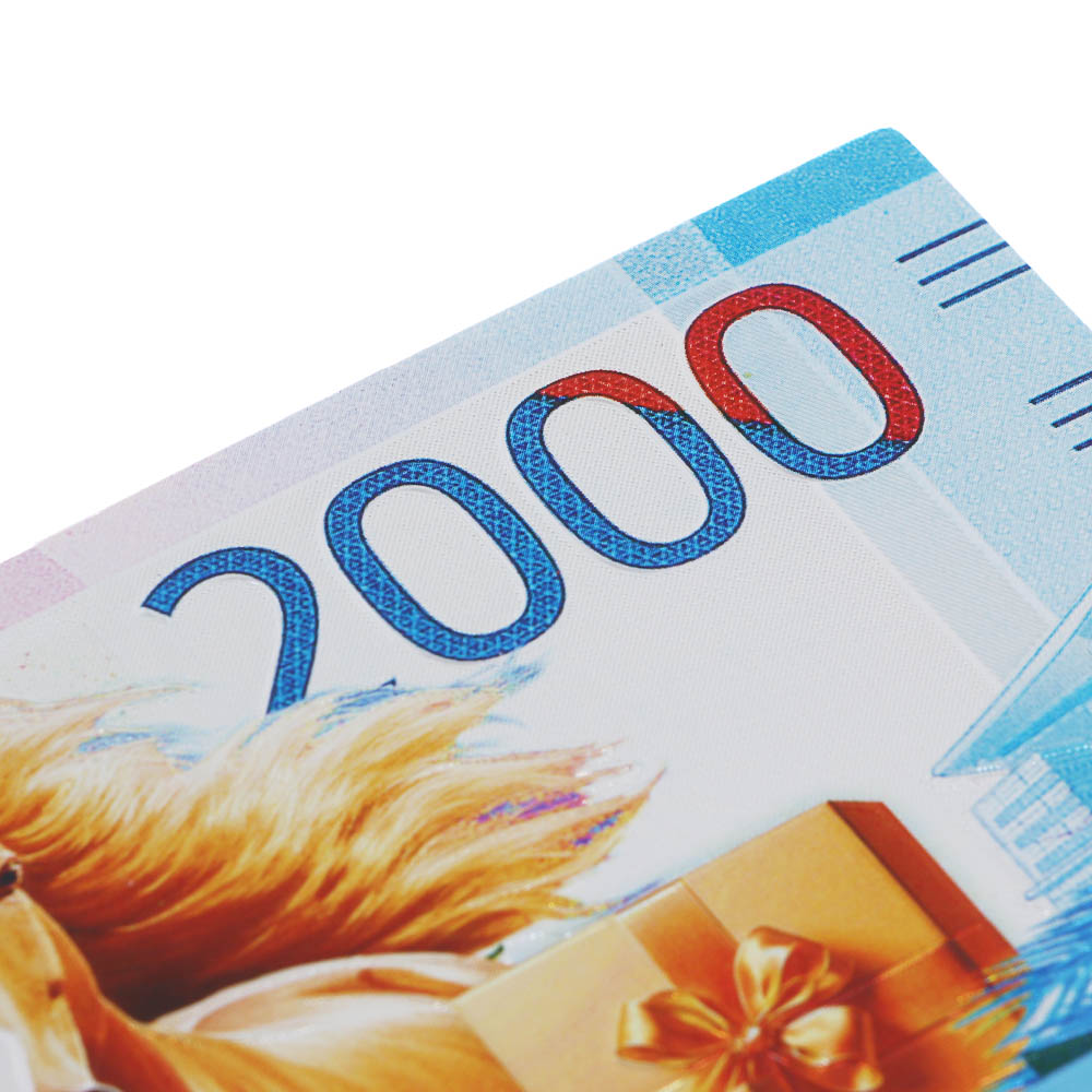 Магнит рубли тм СНОУ БУМ с серебряным фольгированием, 15x6 см, PVC, EVA, фольга, микс - #5