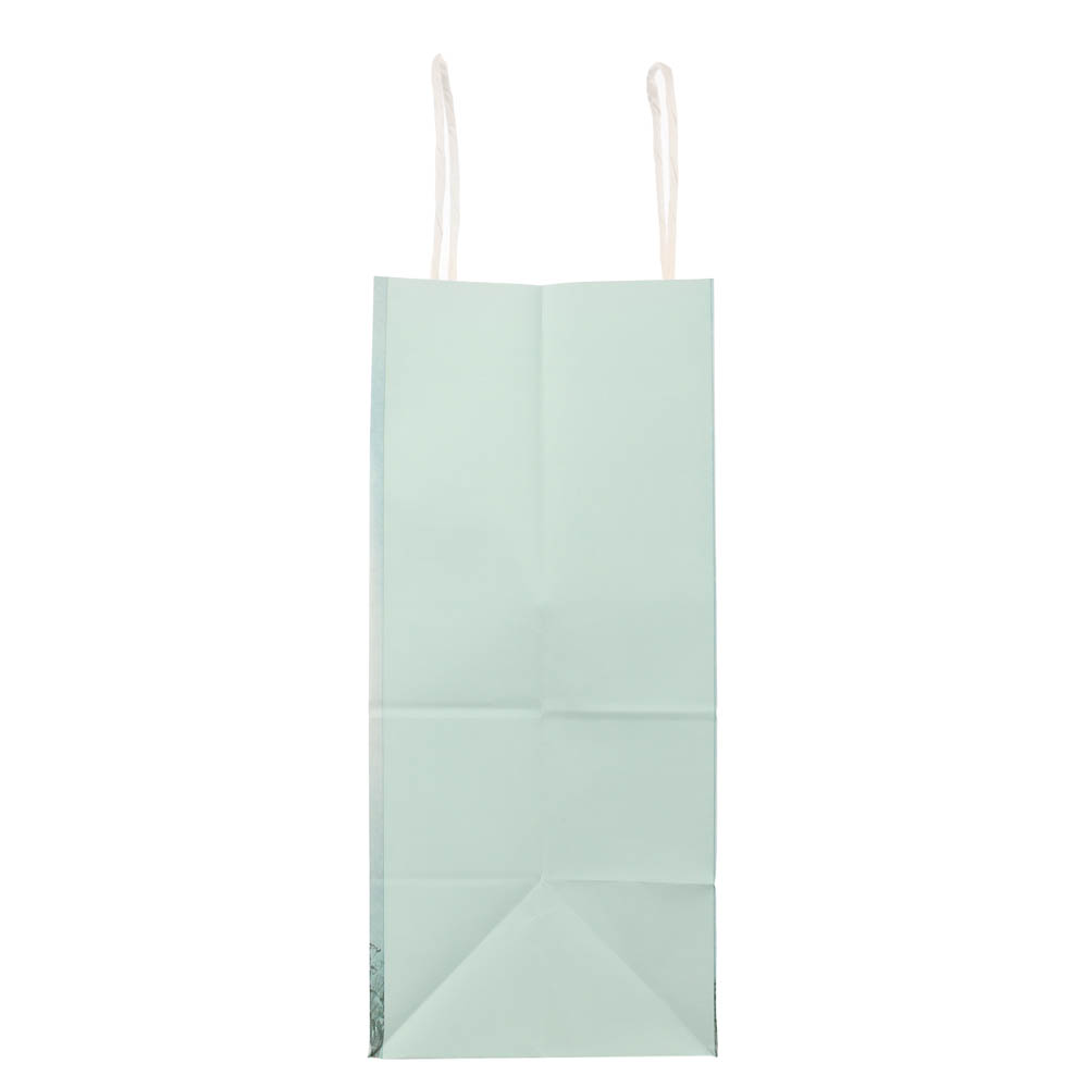 Пакет подарочный с кручеными ручками 24х14х30см, "Ёжик в тумане", в ассортименте - #6