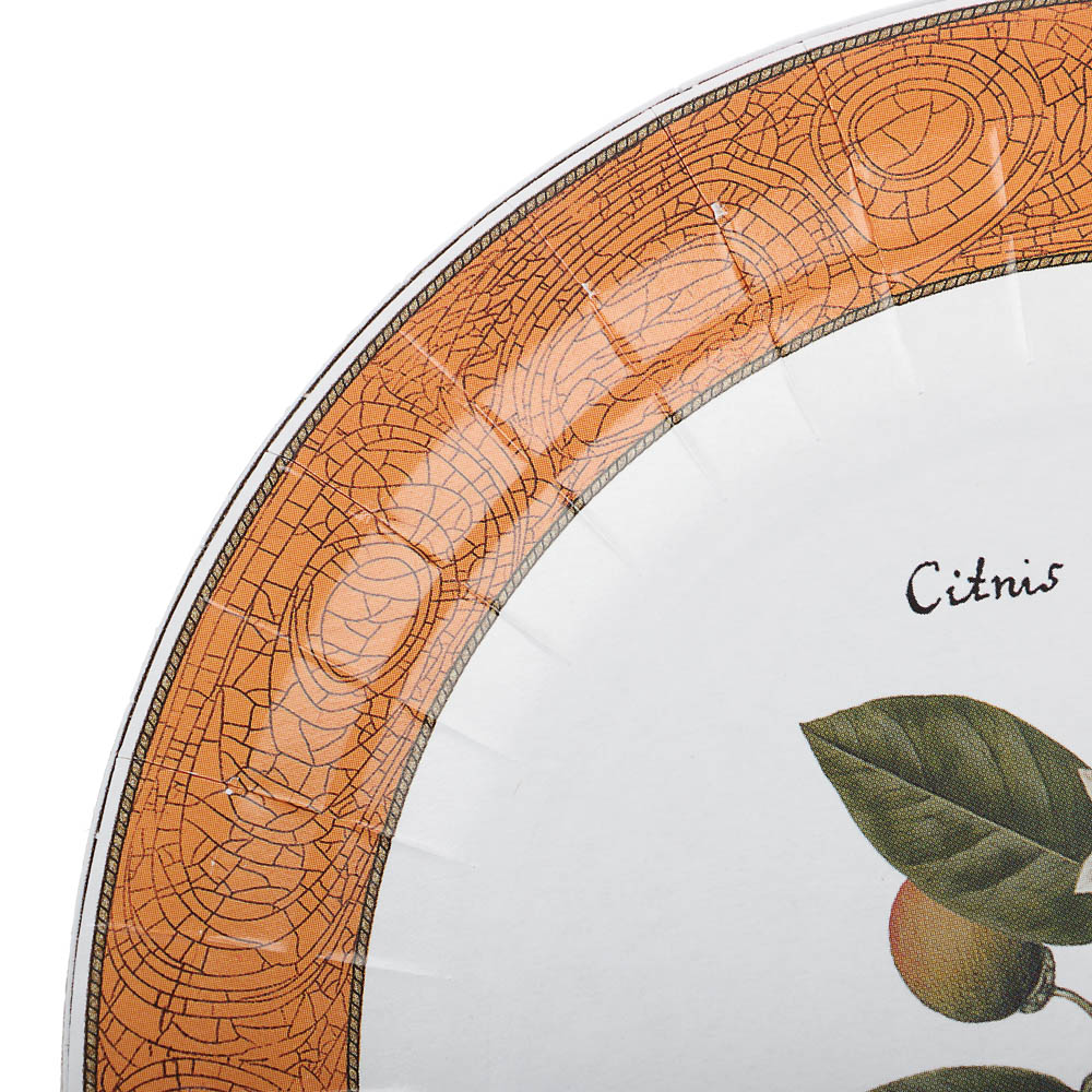 Набор бумажных одноразовых тарелок Прованс 6 шт, 18 см в ассортименте - #9