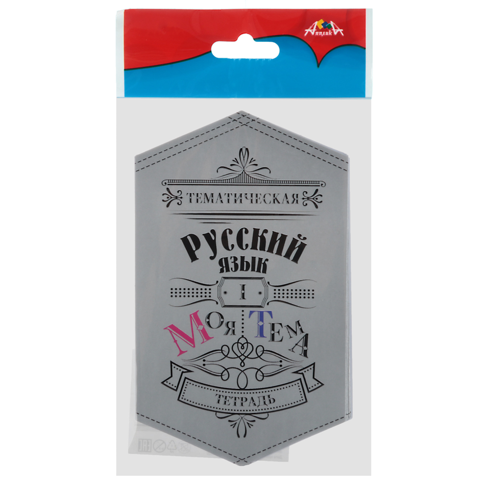 Набор наклеек для предметных тетрадей, 9-11 класс, 20 предметов, 8х13см, бумага, пакет с подвесом - #6