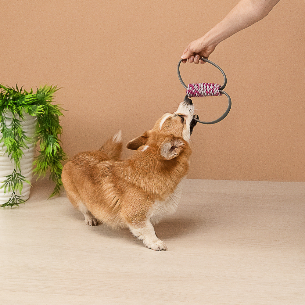 VETTA Игрушка для домашних животных, ТПР, 11х4,5 см - #10