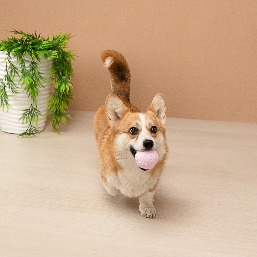 VETTA Игрушка для домашних животных, ТПР, 6,5 см, мяч - #10