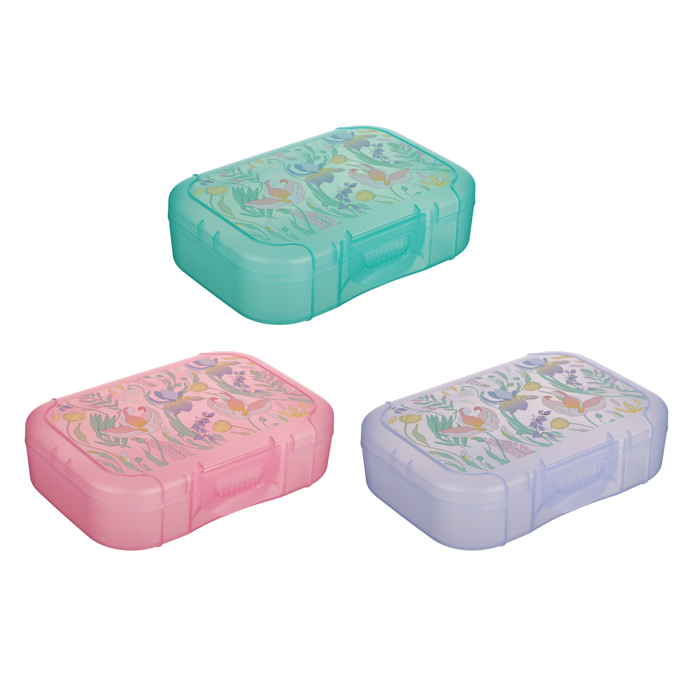 Ботаника Ланч-бокс 0,85л (18х12,5х5,5см), пластик, в ассортименте - #1