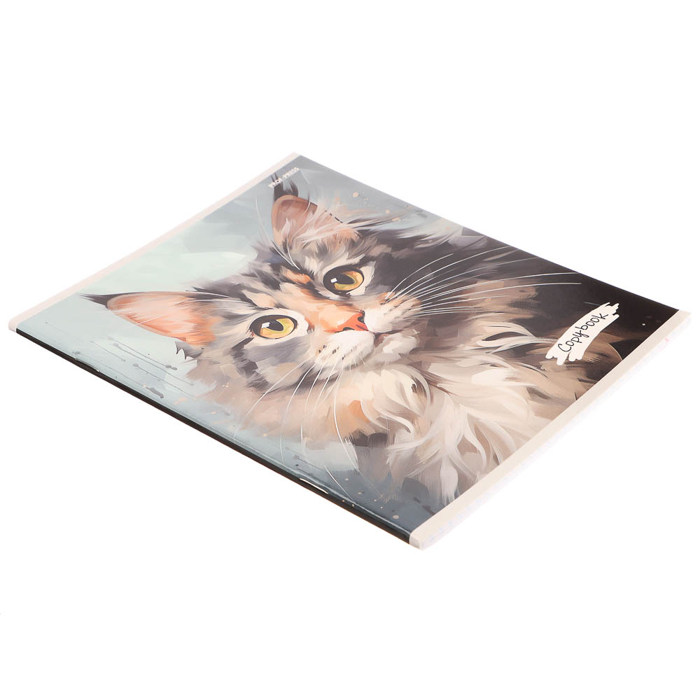 Тетрадь 48л. в клетку, офсет, обл. мел.картон, скрепка, твин лак, микс - #14