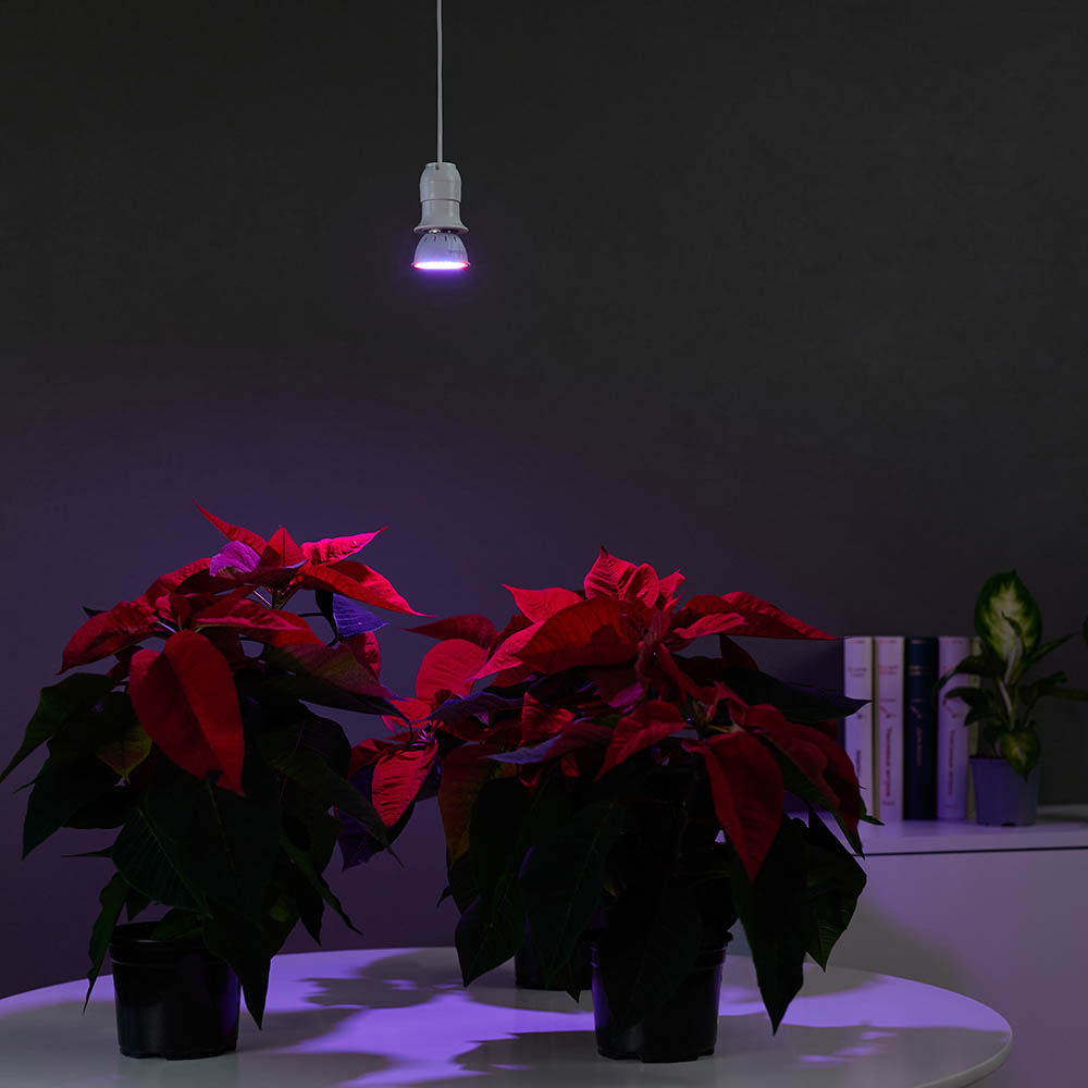 INBLOOM Лампа для растений LED, 80 светодиодов (52R+28B), Е27, 5х5х5.4см, 3.6W, PC - #6