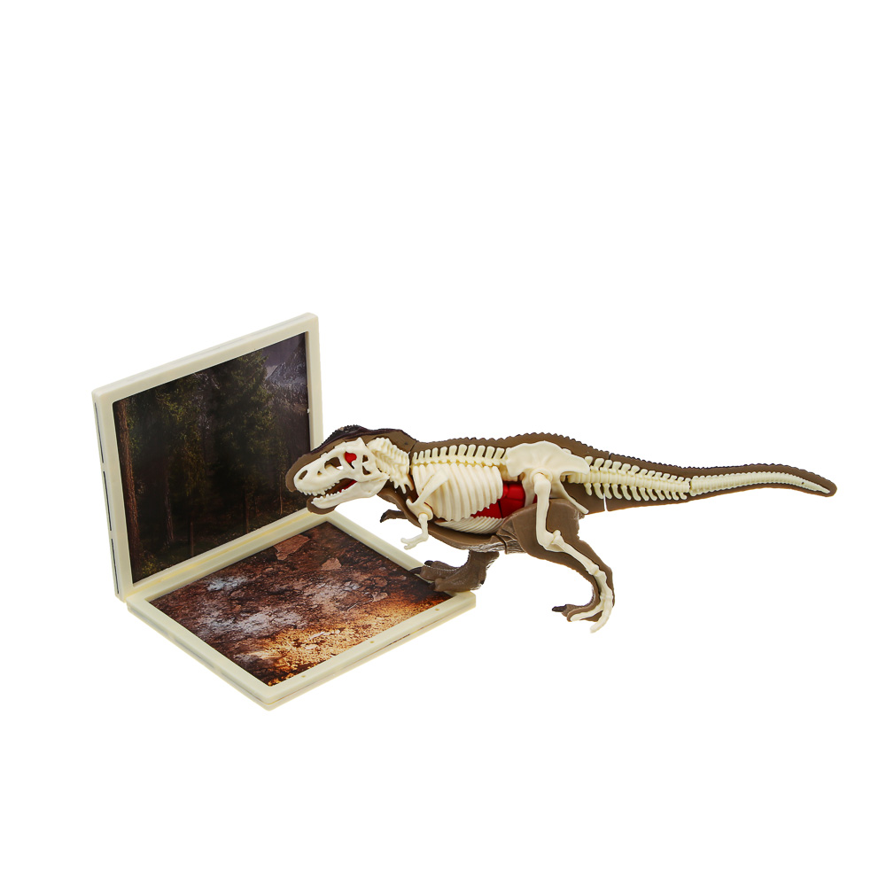 ХОББИХИТ Набор для творчества "Скелет Динозавра" 16х5х16см, 3 дизайна - #7