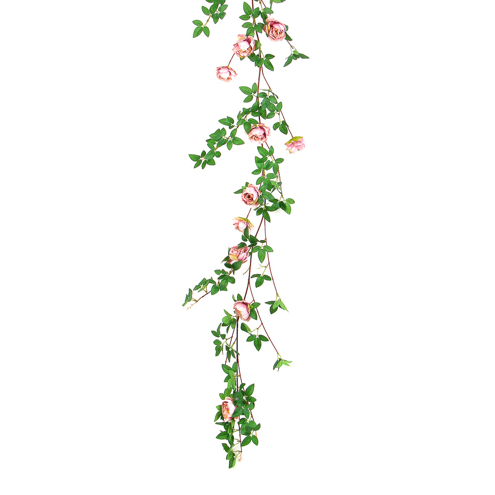 Растение декоративное, лиана с цветами - #8