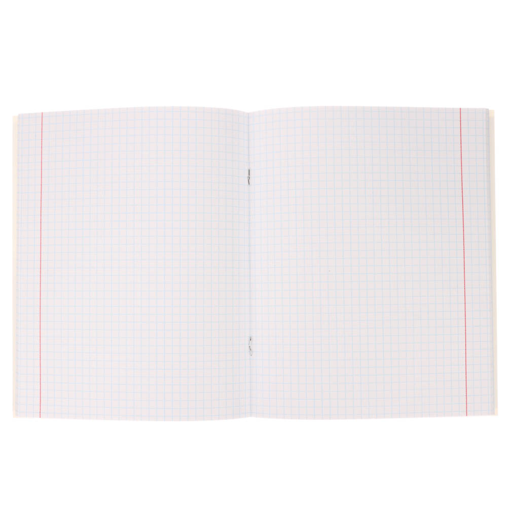 Тетрадь 48л. в клетку, офсет, обл. мел.картон, скрепка, твин лак, микс - #15