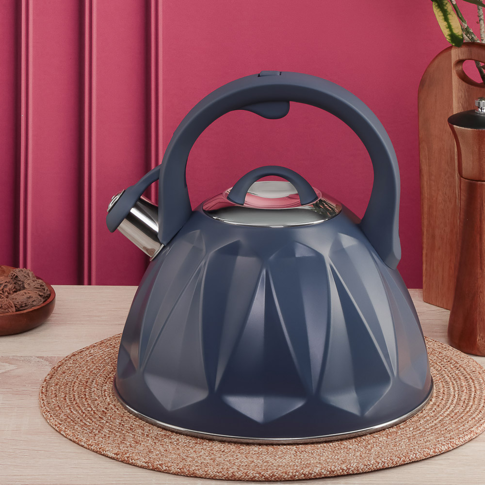 SATOSHI Чайник стальной 2,7л "Ривьера", индукция - #8