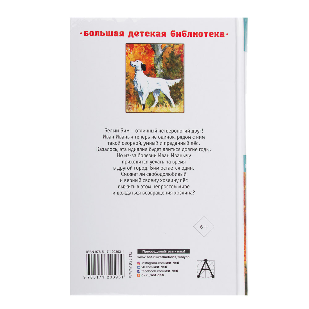 Книга "Большая детская библиотека" АСТ  - #3