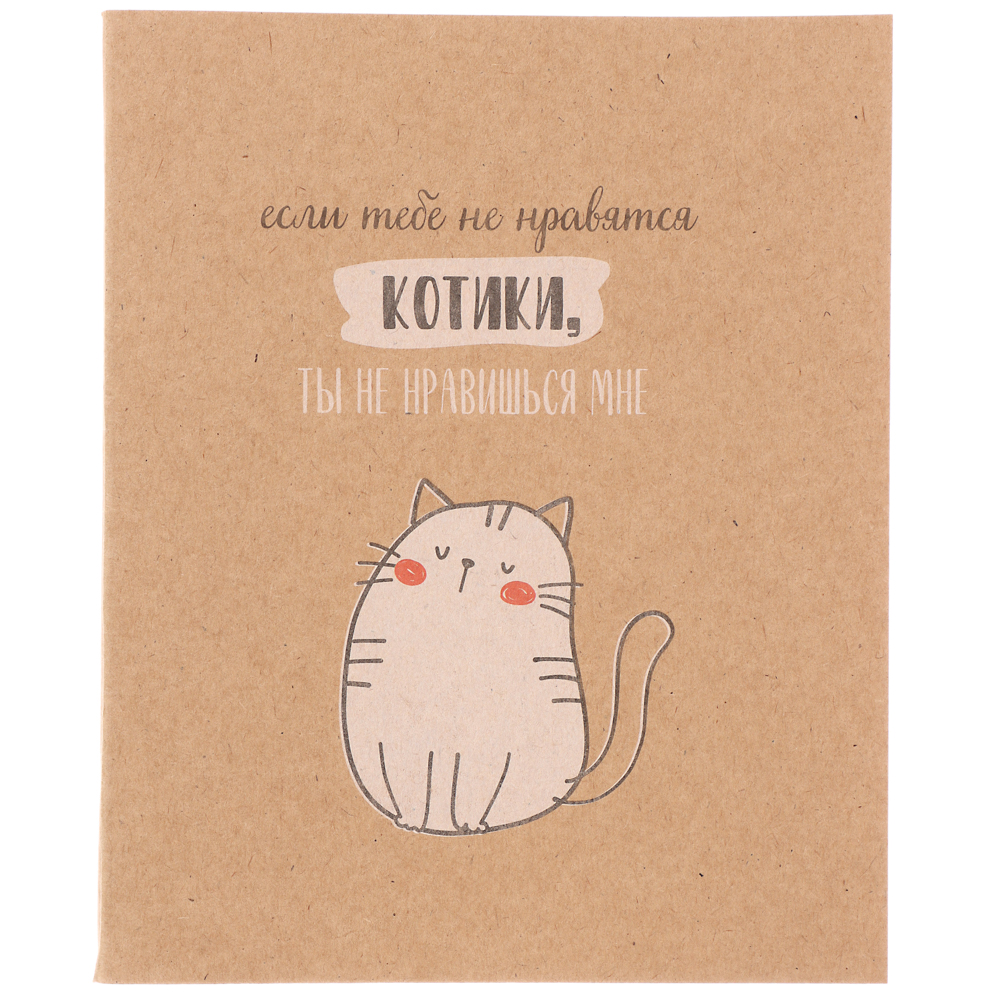 ClipStudio Тетрадь 48л. в клетку, офсет, обл. мел.картон, скрепка, крафт, 4 диз. - #6