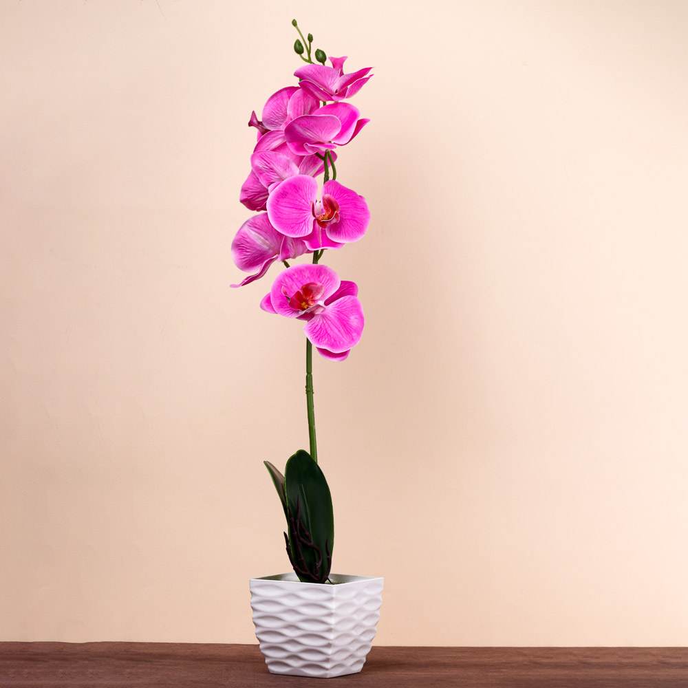Цветочная композиция Ladecor "Орхидеи", в декоративном горшке - #6