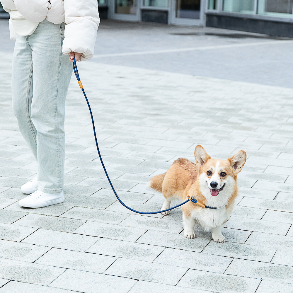 VETTA Поводок для домашних животных, нейлон, 150 см - #17