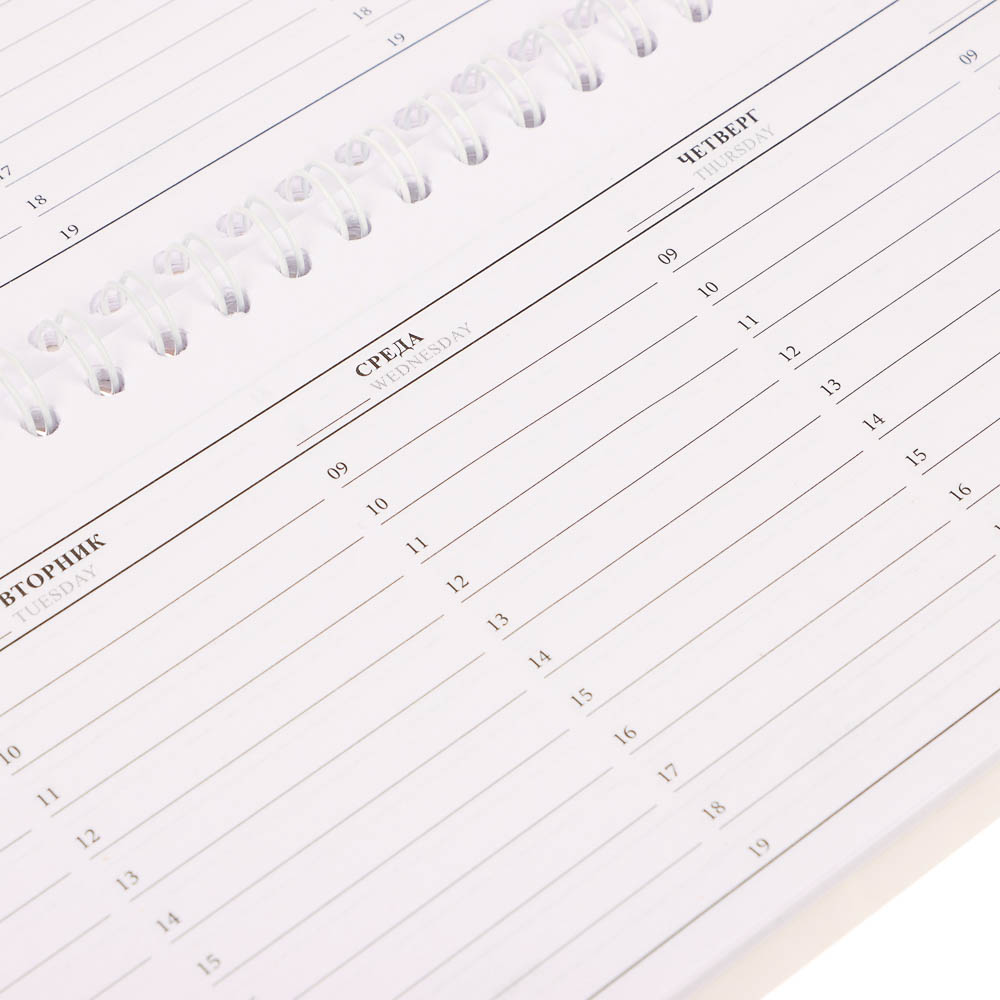 Планинг недатированный на гребне ClipStudio, размер 285х100, 52 листа - #6