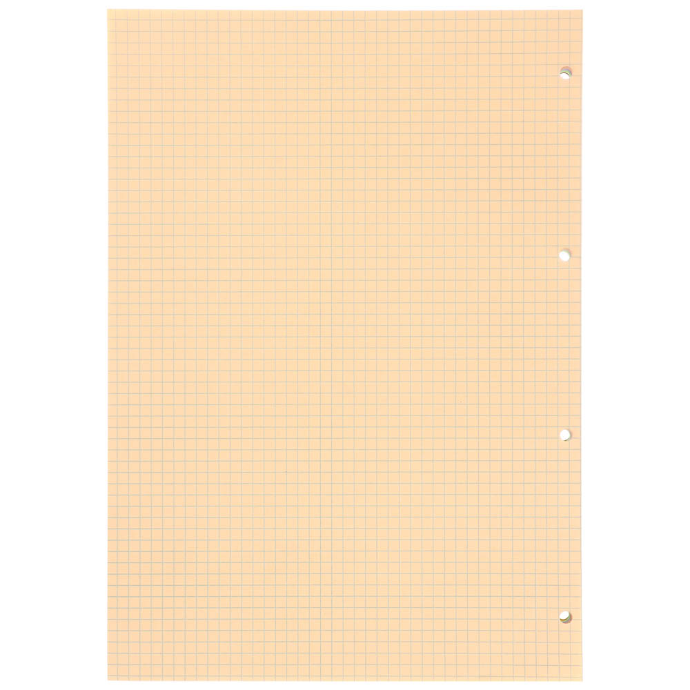 Erich Krause Сменный блок для тетради на кольцах, А4, 120 листов, клетка, 4 цвета - #2