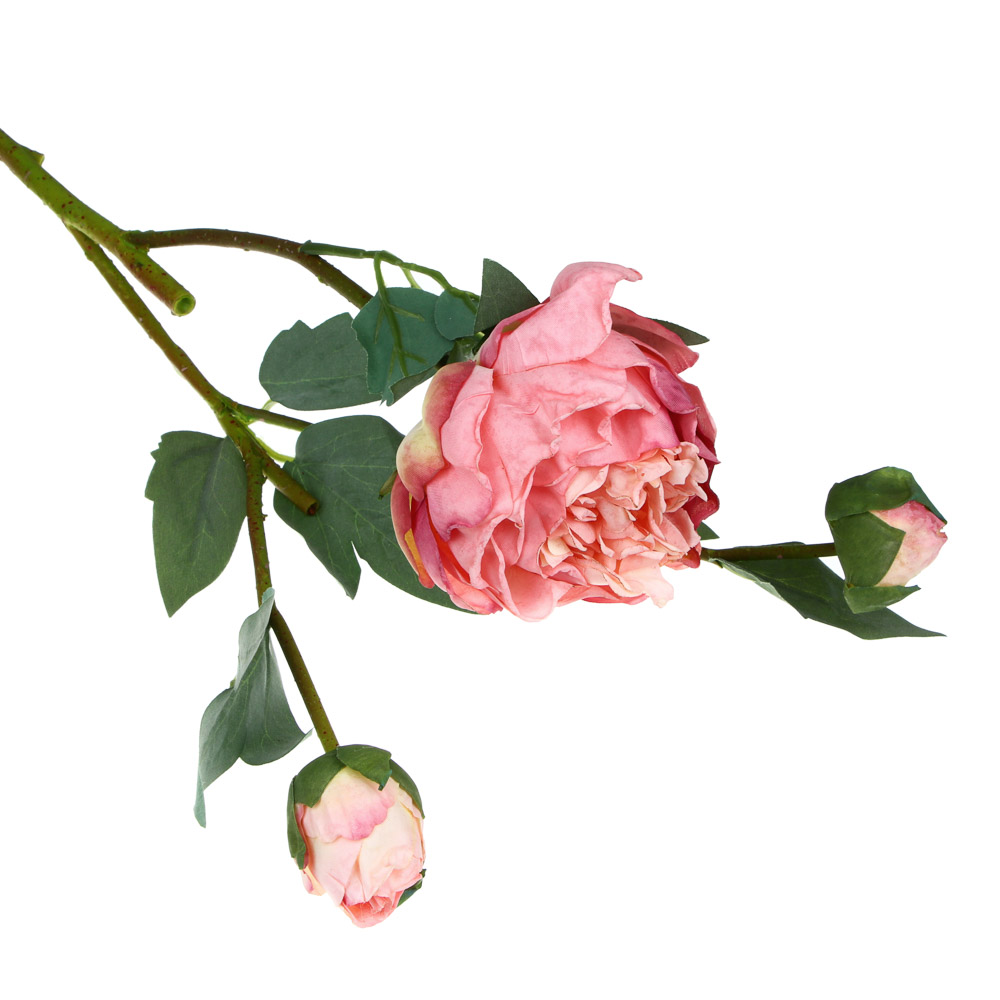 LADECOR Цветок декоративный в виде пионов, пластик, 60 см, 2 цвета - #4
