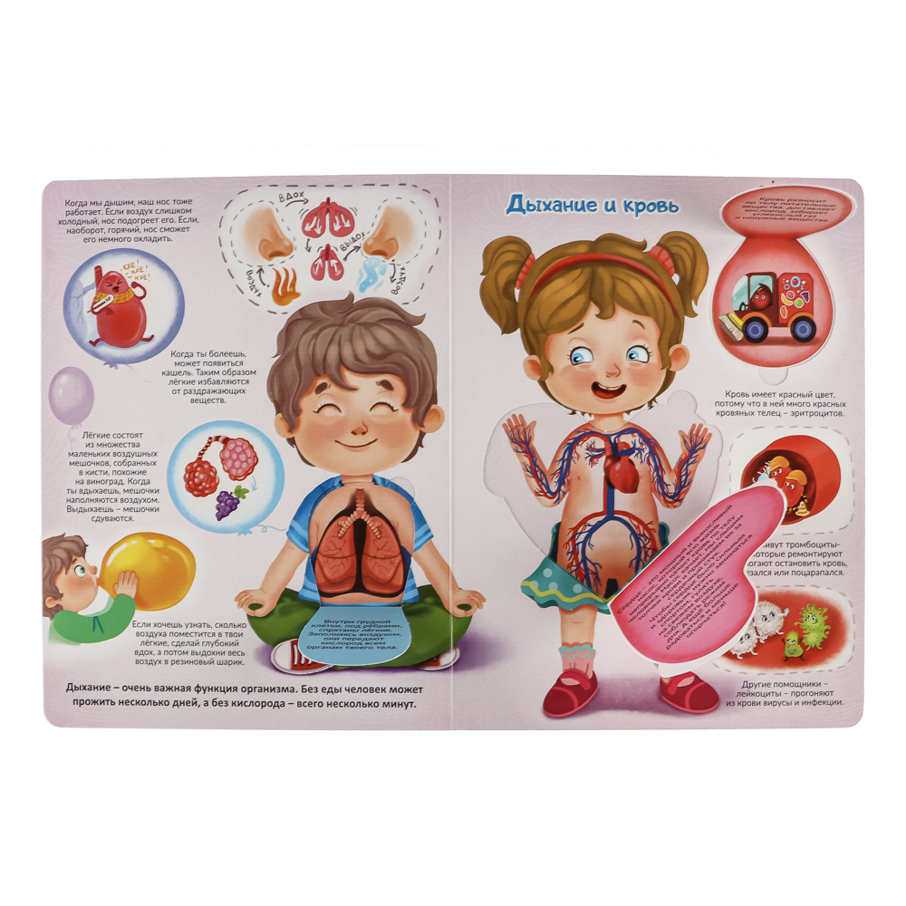 Книжка с окошками, 20х26 см, 10 стр., 4 дизайна - #4