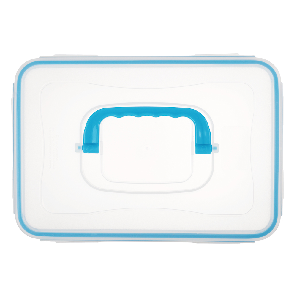 Контейнер герметичный с защелками с ручкой 4,5л, прозрачная крышка, пластик - #8