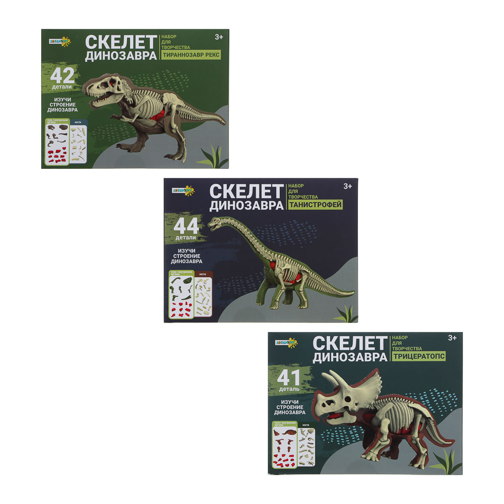 ХОББИХИТ Набор для творчества "Скелет Динозавра" 16х5х16см, 3 дизайна - #2