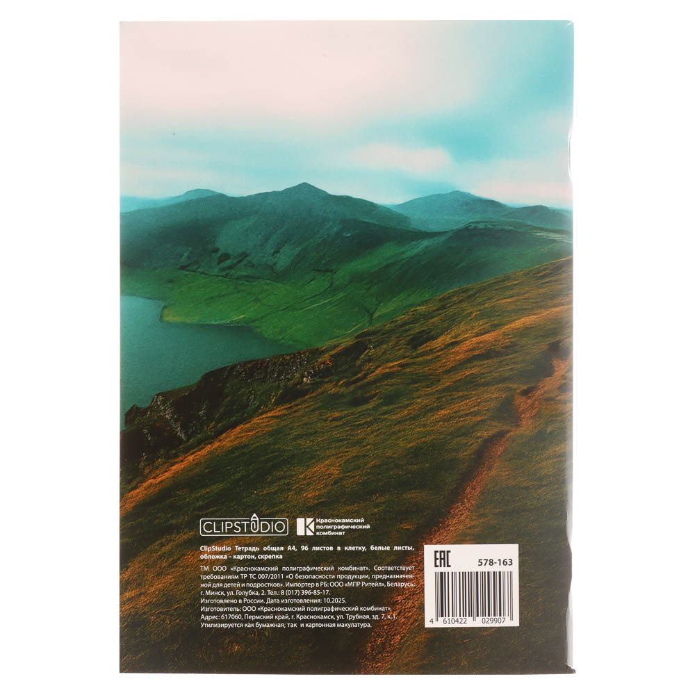 ClipStudio Тетрадь общая А4, 96 листов, в клетку, БЕЛЫЕ ЛИСТЫ, обложка картон, скрепка, 4 диз - #14