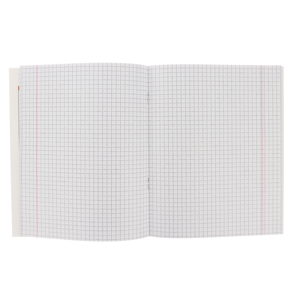 ClipStudio Тетрадь 48л. "Предметная", БЕЛЫЕ ЛИСТЫ, обл.картон, скрепка, 7 видов, справ.мат-л - #10