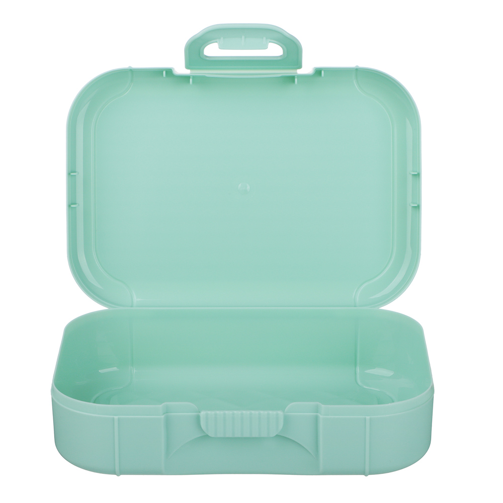 Черри Ланч-бокс 0,85л (18х12,5х5,5см), пластик, 2 цвета - #6