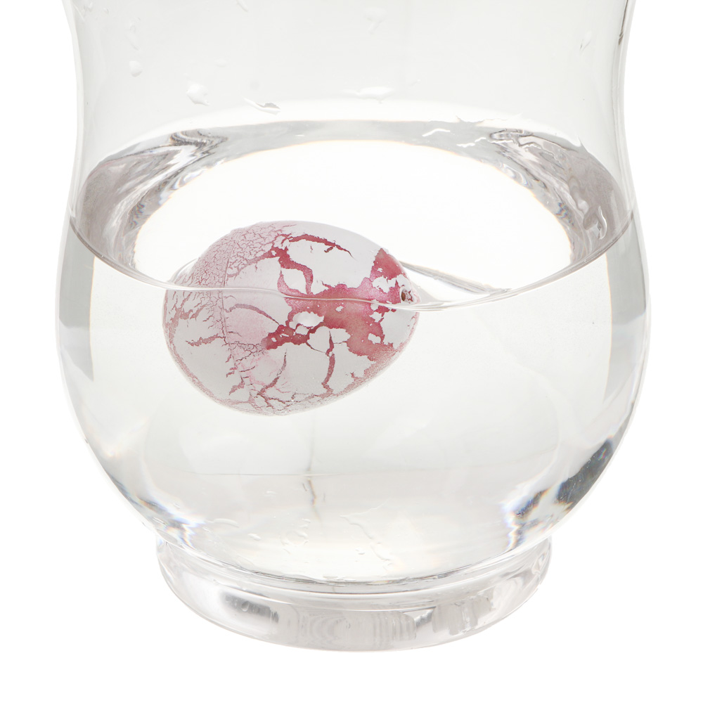 Игрушка Растущие животные в яйцах, 3х4см, PP, TPR, 12 дизайнов - #6