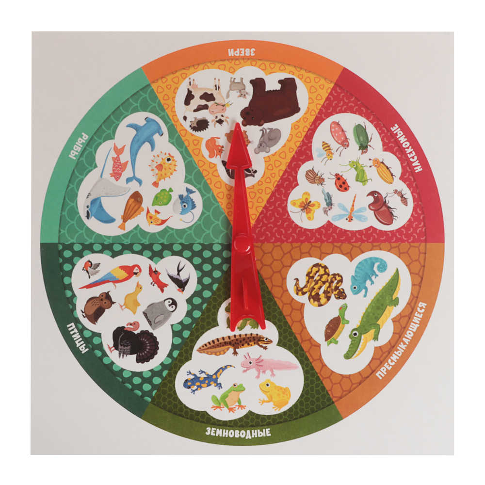 Игра настольная "Викторина" 25,2х21,7х2,4 см, коробка, 7 дизайнов - #26