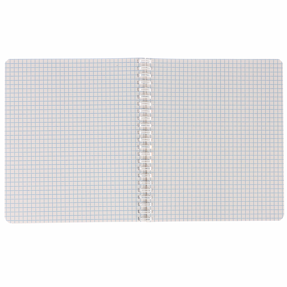 Тетрадь общая 48 листов в клетку, блок№2, обложка картон, спираль 5 диз - #4