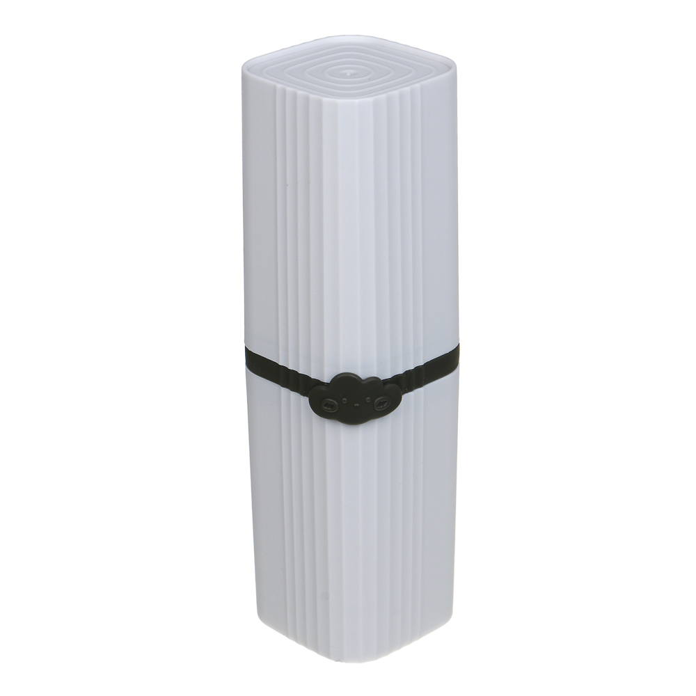 Футляр для зубных щёток и пасты, тм VETTA,19х5,5 см - #2