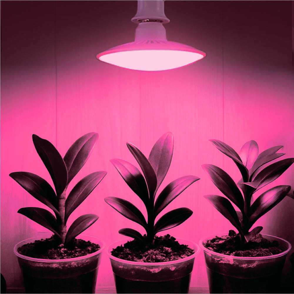 INBLOOM Лампа светодиодная для растений 72LED фиолетовый, 13x8см, E27, 15Вт, 220В, пластик - #5